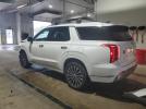 Hyundai PALISADE Calligraphy Image 7