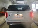 Hyundai PALISADE Calligraphy Image 8