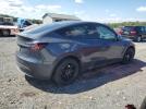 Tesla Model Y Image 7