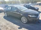 Ford Fusion Titanium Image 2