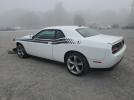 Dodge Challenger Sxt Image 2