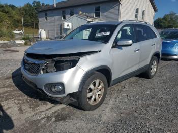  Salvage Kia Sorento