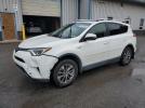 Toyota RAV4 Xle Image 1