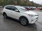 Toyota RAV4 Xle Image 3