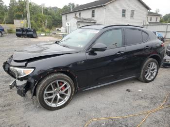  Salvage Alfa Romeo Stelvio