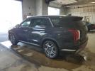 Hyundai PALISADE Limited Image 2