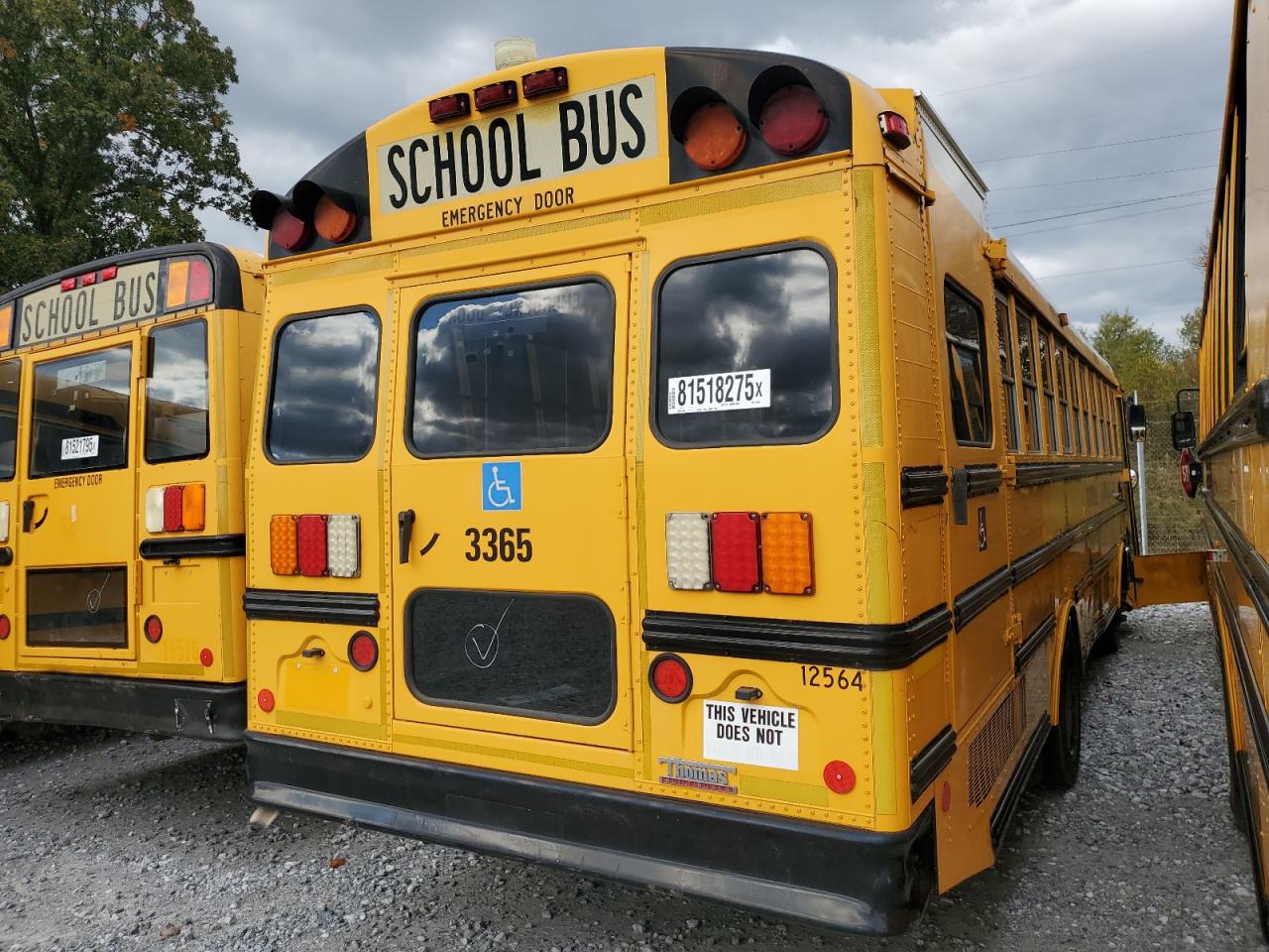 Thomas School Bus Image 3