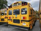 Thomas School Bus Image 3
