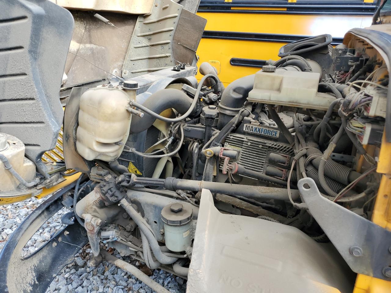 International Schoolbus Ce Image 4