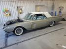 Ford Thunderbird Image 1
