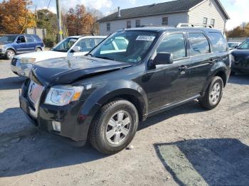  Salvage Mercury Mariner