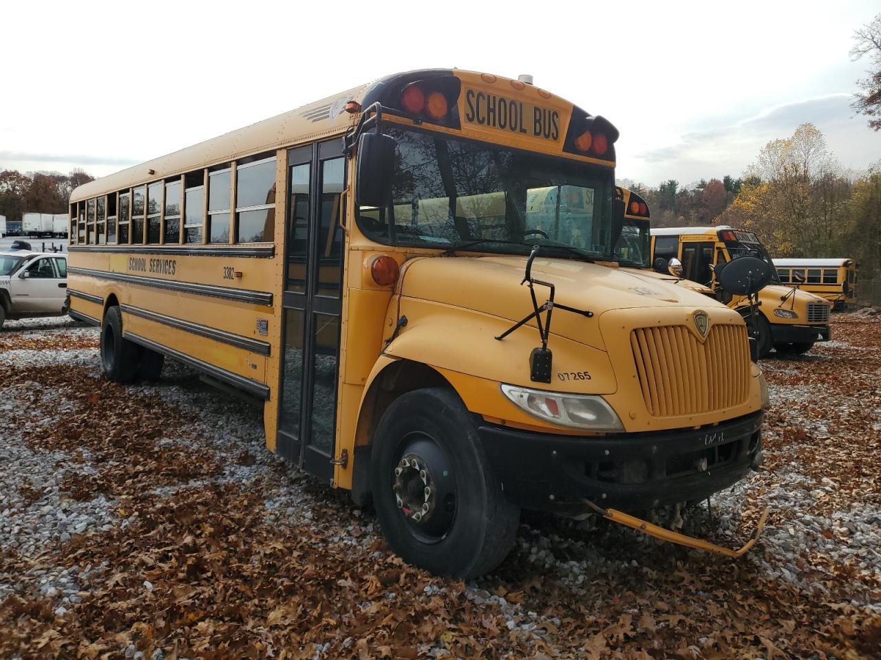 Thomas School Bus Image 1