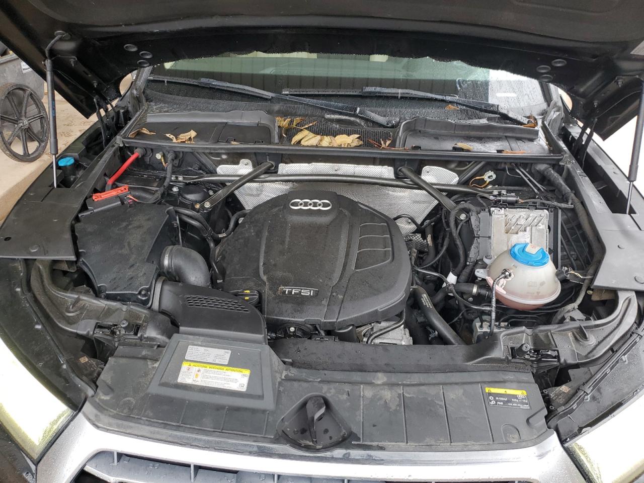 Audi Q5 Premium Plus Image 13