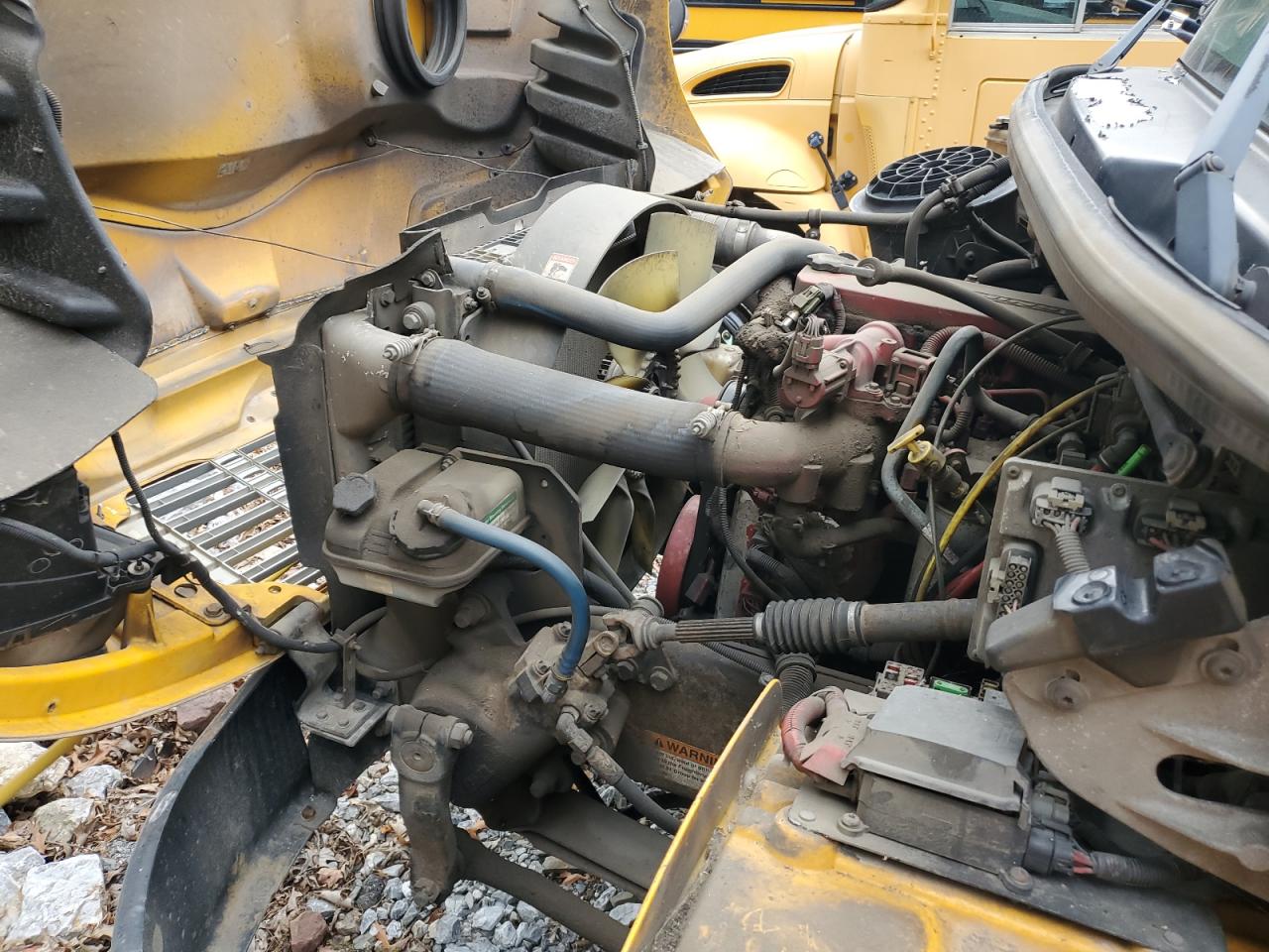 Freightliner Saf-t-liner C2 B2b Image 4