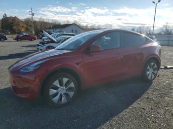  Salvage Tesla Model Y