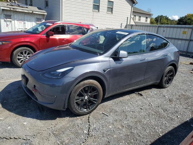  Salvage Tesl Model Y