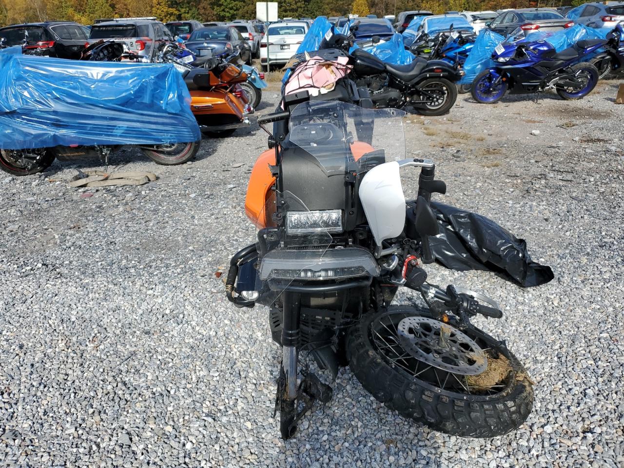 Harley-Davidson Ra1250 S S Image 4