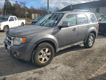  Salvage Ford Escape