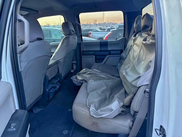 Ford F-250 Super Duty Image 5