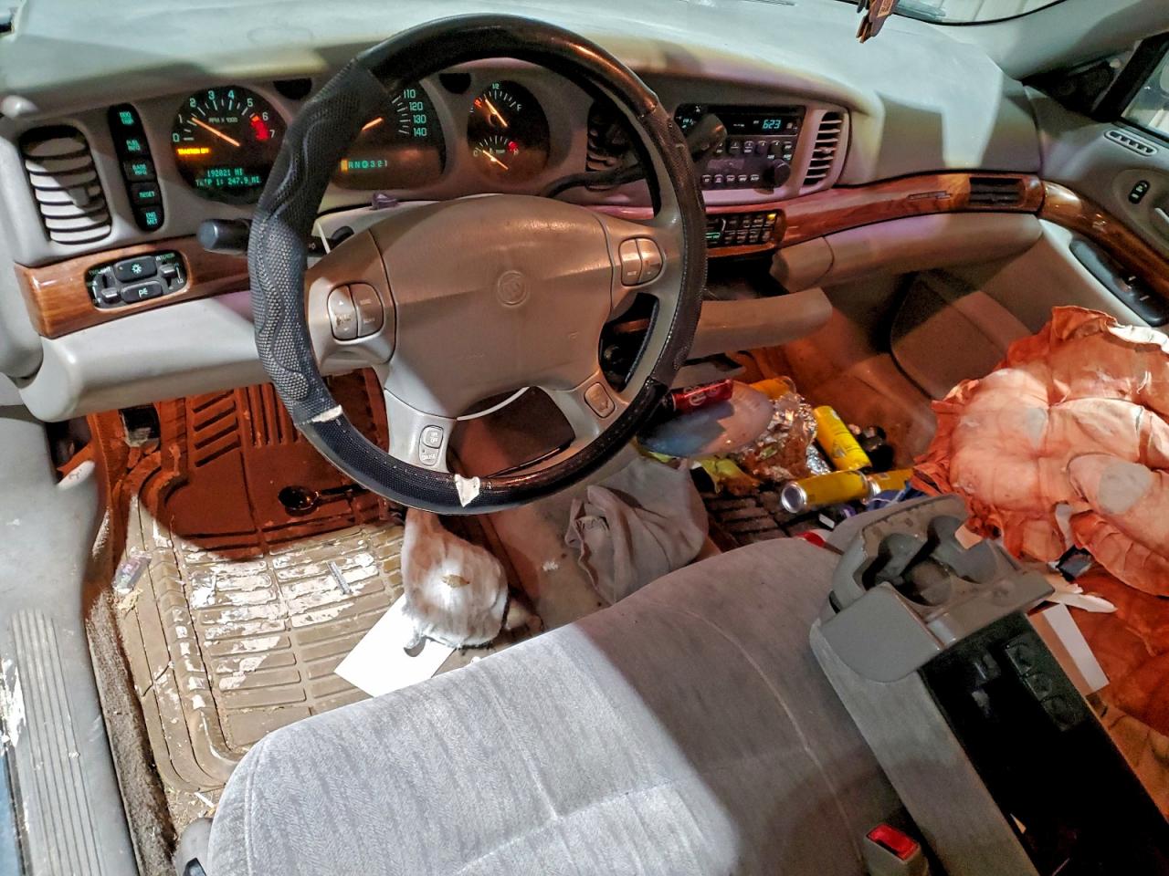 Buick LeSabre Custom Image 7