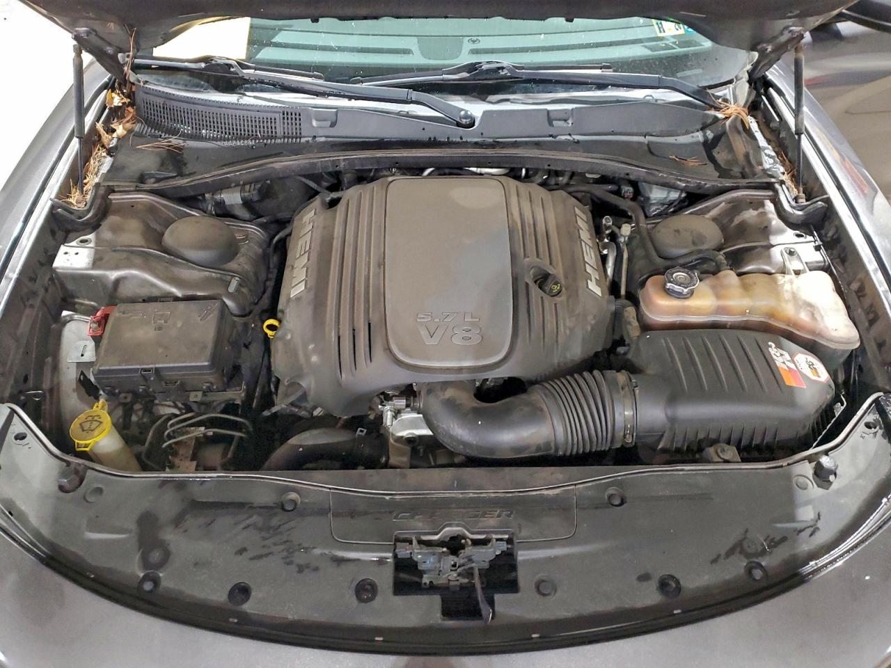 Dodge Charger R/t Image 12