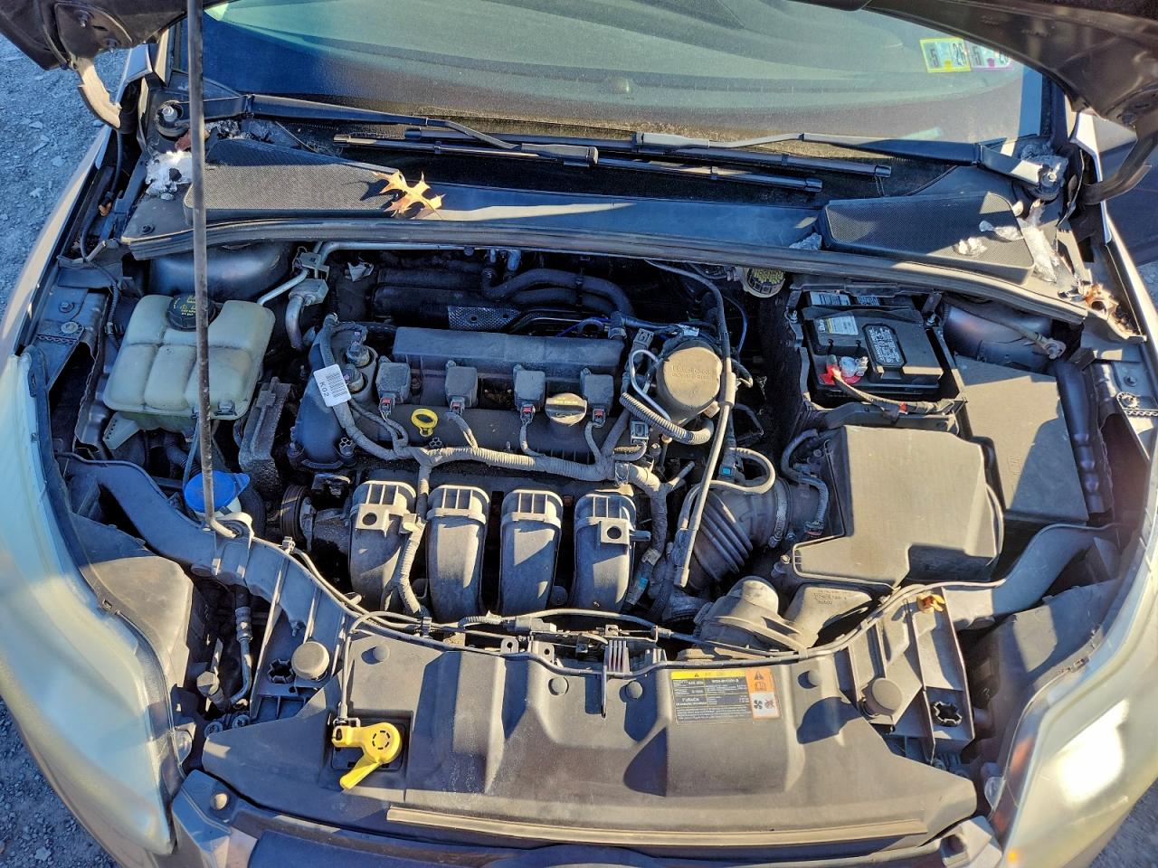 Ford Focus Se Image 10