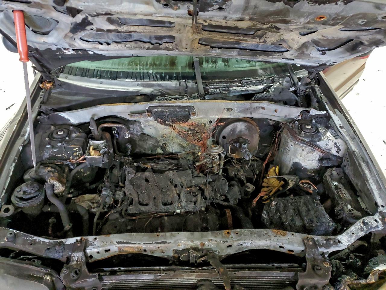 Ford Escape Limited Image 10