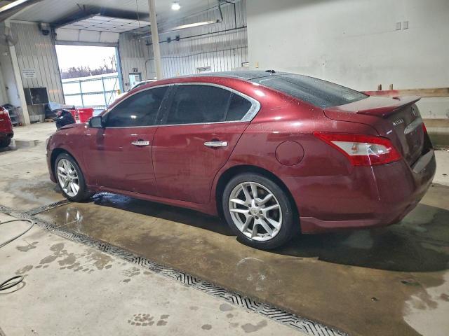 Nissan Maxima S Image 7