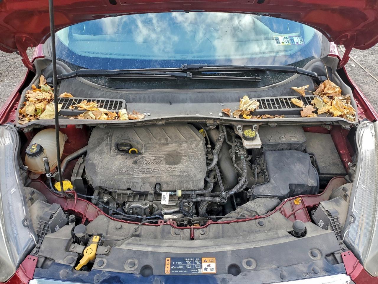 Ford Escape Se Image 11