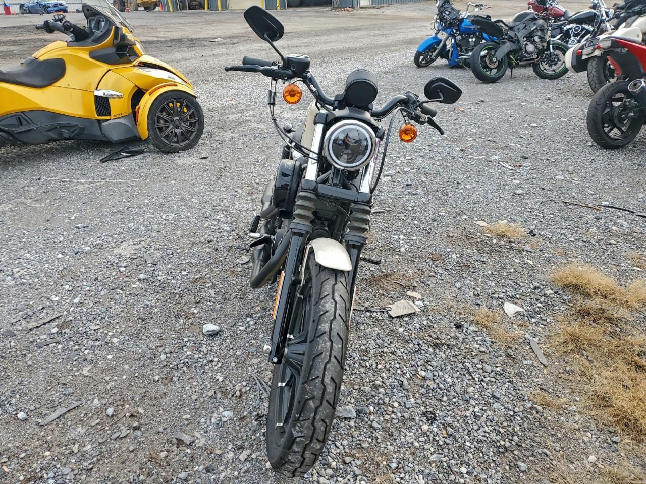 Harley-Davidson Xl883 N N Image 6