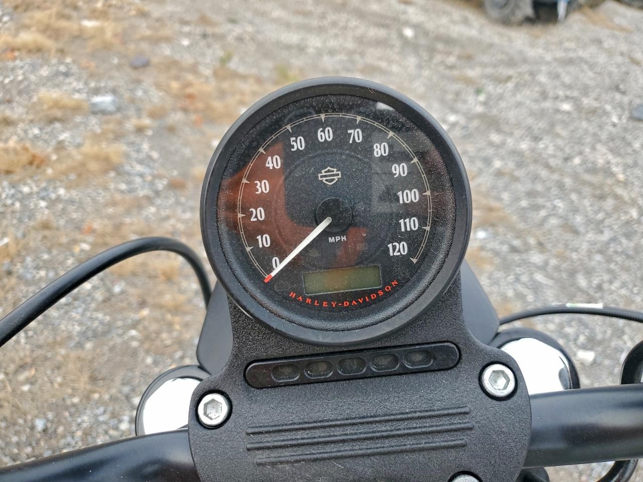 Harley-Davidson Xl883 N N Image 5